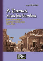 A Damas sous les bombes, journal d'une Française pendant la révolte syrienne (1924-1926)