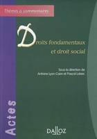 Droits fondamentaux et droit social, Thèmes et commentaires