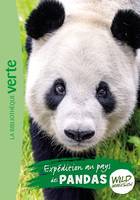 8, Wild Immersion 08 - Expédition au pays des pandas