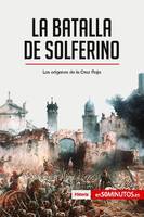 La batalla de Solferino, Los orígenes de la Cruz Roja