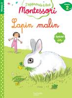 Lapin malin, niveau 2 - J'apprends à lire Montessori