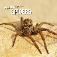 How they live... Spiders, Learn All There Is to Know About These Animals!