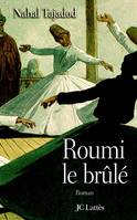 Roumi, le brûlé, roman