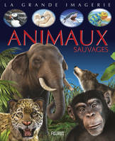 ANIMAUX SAUVAGES