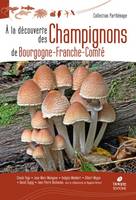 À la découverte des champignons de Bourgogne-Franche-Comté