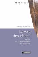 La voie des idées ?, Le statut de la représentation XVIIe-XXe siècles