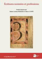 Écritures normées et professions, Moyen âge-xvie siècle