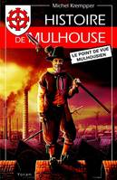 Histoire de Mulhouse, Le point de vue mulhousien