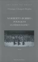 Nobert bobbio: pourquoi la democratie, pourquoi la démocratie ?