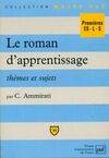 Roman d'apprentissage themes & sujet, thèmes et sujets