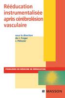 REEDUCATION INSTRUMENTALISEE APRES CEREBROLESION VASCULAIRE
