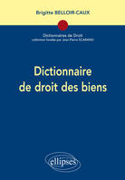 DICTIONNAIRE DE DROIT DES BIENS