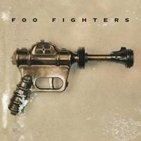 Foo Fighters ~ 120-gram (us) / 180-gram (europe)