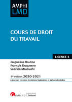 Cours de droit du travail, LICENCE 3