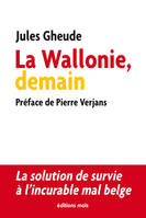 La Wallonie, demain, La solution de survie à l'incurable mal belge