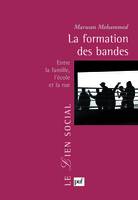 La formation des bandes, Entre la famille, l'école et la rue