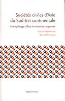 Sociétés civiles d'Asie du Sud-Est continentale, Entre pilotage d'État et initiatives citoyennes