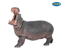 Hippopotame