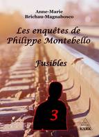 Les enquêtes de Philippe Montebello, 3, Fusibles