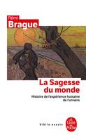 La Sagesse du monde, Histoire de l'expérience humaine de l'univers