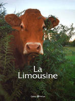 La limousine