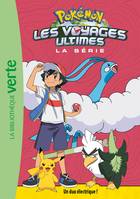 Pokémon Les voyages ultimes 22 - Un duo électrique !