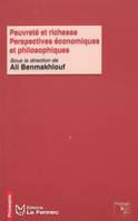 Pauvreté et richesse, Perspectives économiques et philosophiques