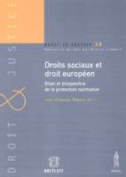 Droits sociaux et droit européen, Bilan et prospective de la protection normative