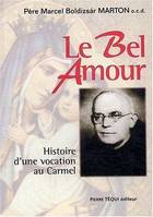 Le Bel Amour - Histoire d'une vocation au Carmel, histoire d'une vocation au Carmel