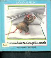 Deuxième histoire d'une petite souris