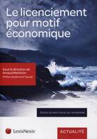 le licenciement pour motif economique : quelles perspectives ?, Quelles dynamiques ?