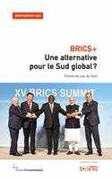 BRICS+ : une alternative pour le Sud global ?, Points de vue du Sud