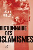 Dictionnaire des islamismes, Pour une compréhension de la terminologie et de la rhétorique employées par les mouvances des islams idéologiques