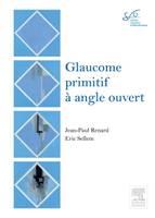 Glaucome primitif à angle ouvert, Rapport SFO 2014