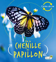 Cycles de vie, De la chenille au papillon