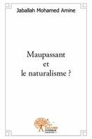 Maupassant et le naturalisme ?, Lecture sur la pluralité dans l'écriture de Maupassant