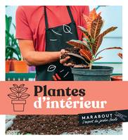 Plantes d'intérieur