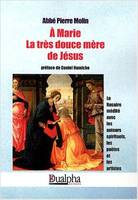 A Marie la très douce mère de Jésus  préf de Daniel Hamiche, le Rosaire médité avec les auteurs spirituels, les poètes et les artistes