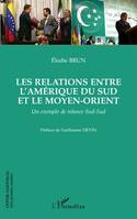 Les relations entre l'Amérique du Sud et le Moyen-Orient, Un exemple de relance Sud-Sud