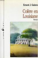 Colère en Louisiane, roman