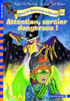 L'école des massacreurs de dragons., 11, L'École des Massacreurs de Dragons, 11 : Attention, sorcier dangereux !
