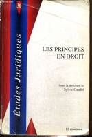 Les principes en droit - [actes du colloque organisé à l'Université Jean Moulin-Lyon 3, les 13-14 décembre 2007], [actes du colloque organisé à l'Université Jean Moulin-Lyon 3, les 13-14 décembre 2007]