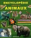 Encyclopédie junior des animaux