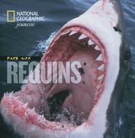 Face aux requins