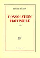 Consolation provisoire, roman