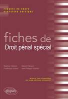 Fiches de droit pénal spécial. Rappels de cours et exercices corrigés, rappels de cours et exercices corrigés