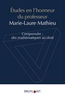 Études en l'honneur du professeur Marie-Laure Mathieu, Comprendre : des mathématiques au droit