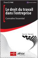 Le droit du travail dans l'entreprise, Connaître l'essentiel