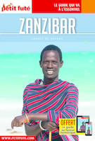 Guide Zanzibar 2023 Carnet Petit Futé