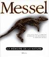 Messel  La mémoire de la nature, la mémoire de la nature